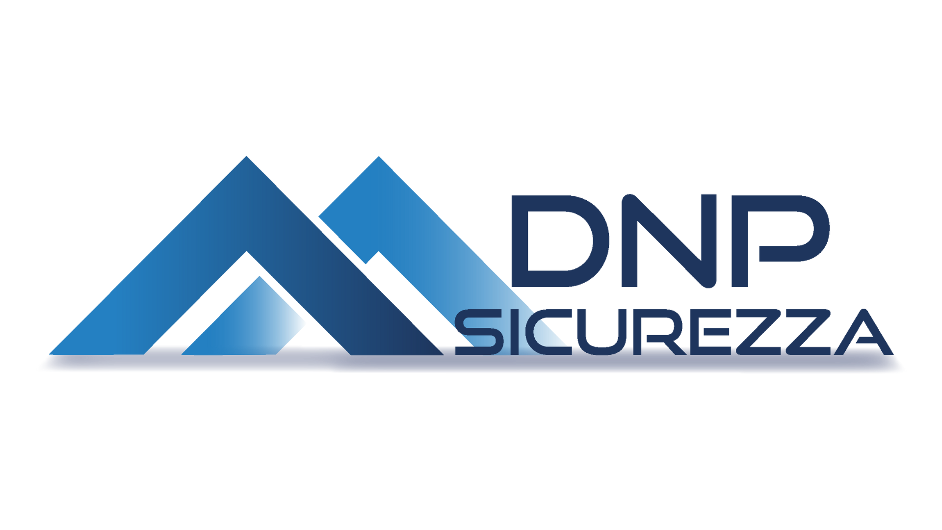 DNPlogo.png
